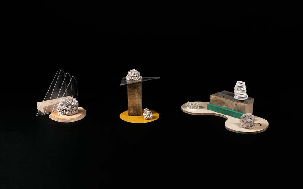 Olivia Rees Artisit Ceramic Sculpture Ecosystem Objects, 2022